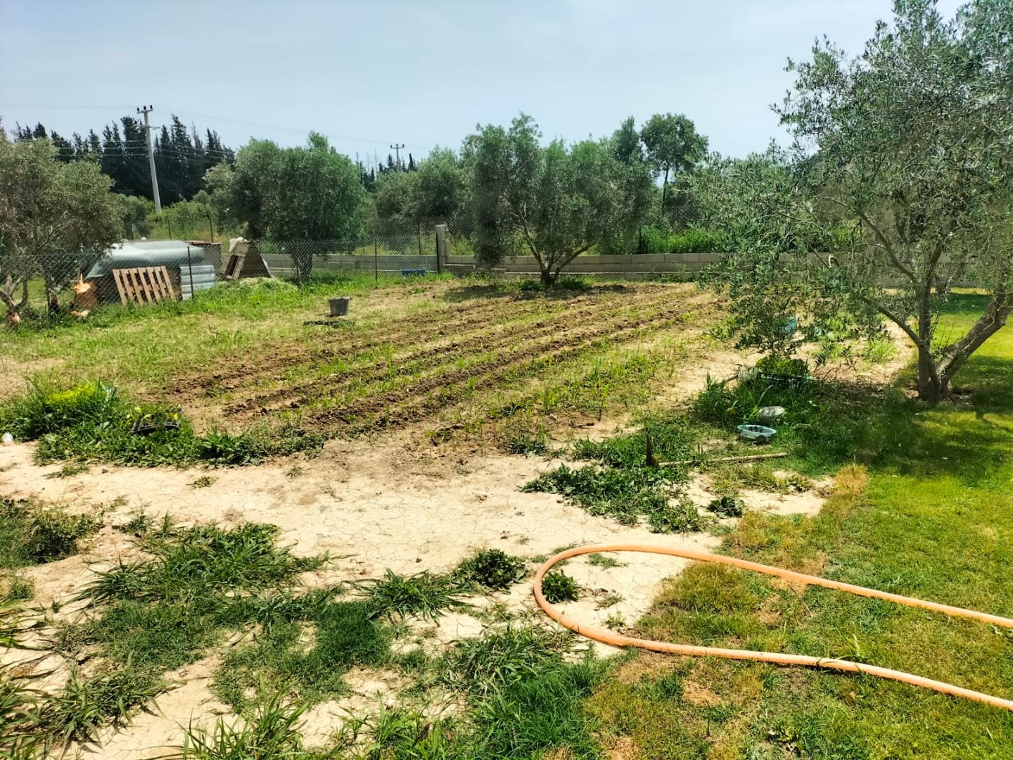 Ortaca Fevziye’de 1887m² Arsa İçinde Havuzlu 4+1 Villa