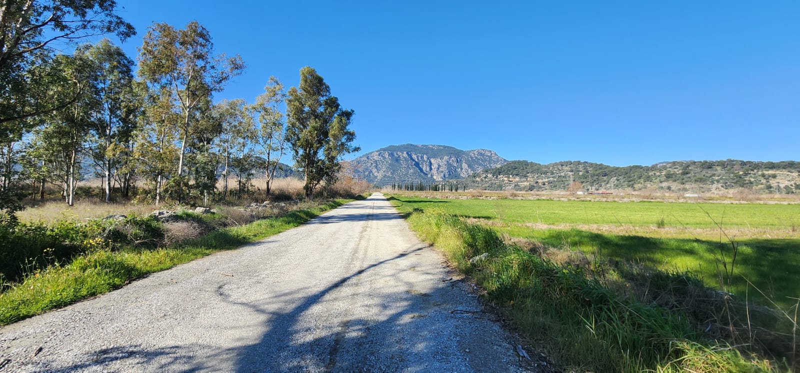 Ortaca Güzelyurt'ta Sarıgerme Yoluna Yakın 5.000m² Satılık Tarla