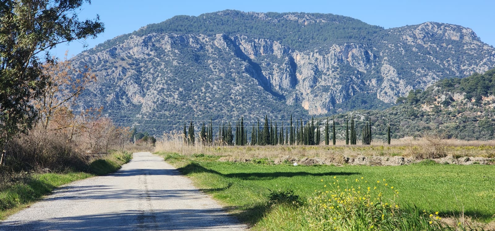 Ortaca Güzelyurt'ta Sarıgerme Yoluna Yakın 5.000m² Satılık Tarla