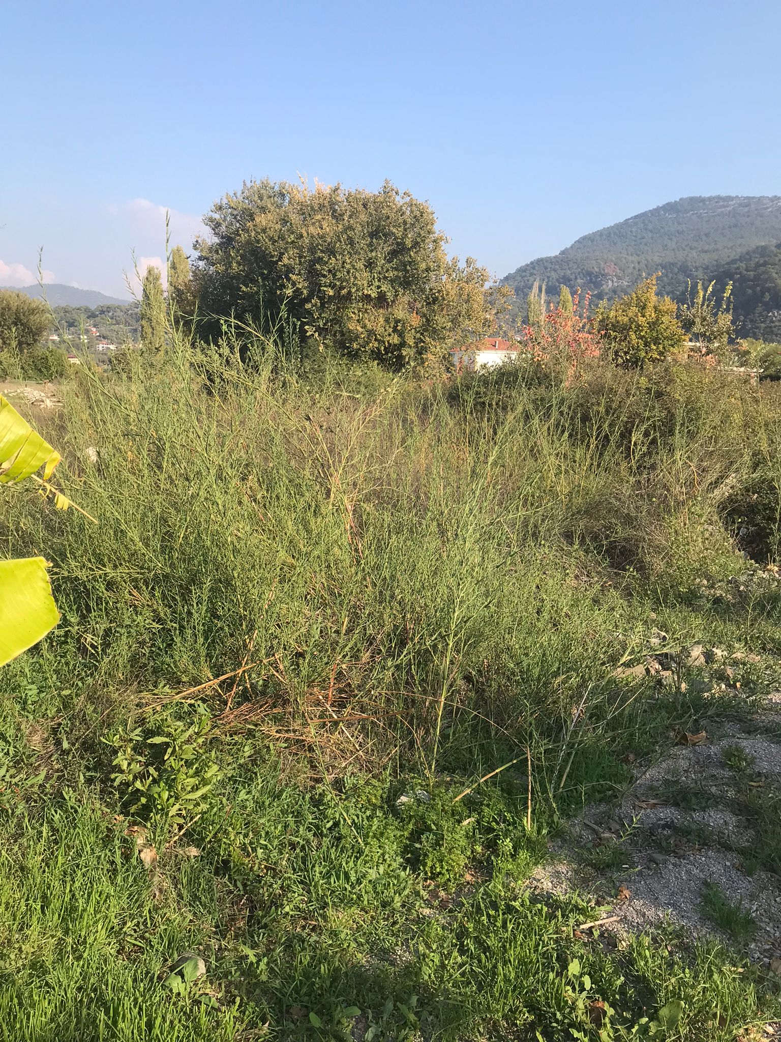 CESUR EMLAK'TAN DALAMAN KARAÇALI'DA 395 m² YATIRIMLIK SATILIK ARSA