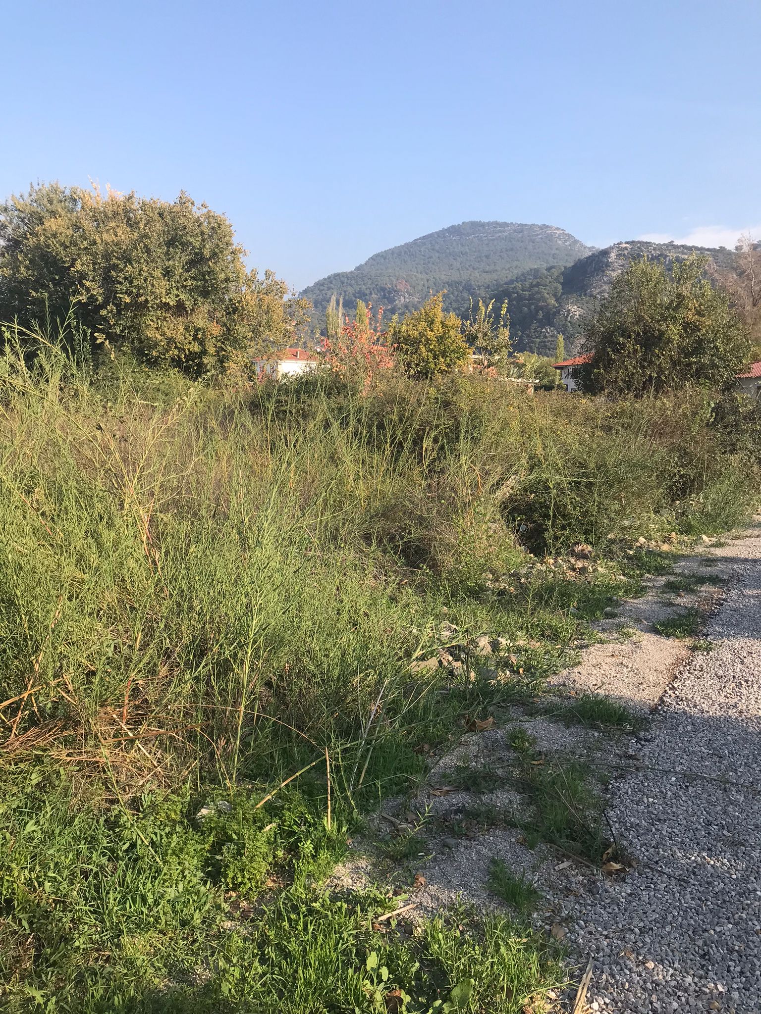 CESUR EMLAK'TAN DALAMAN KARAÇALI'DA 395 m² YATIRIMLIK SATILIK ARSA